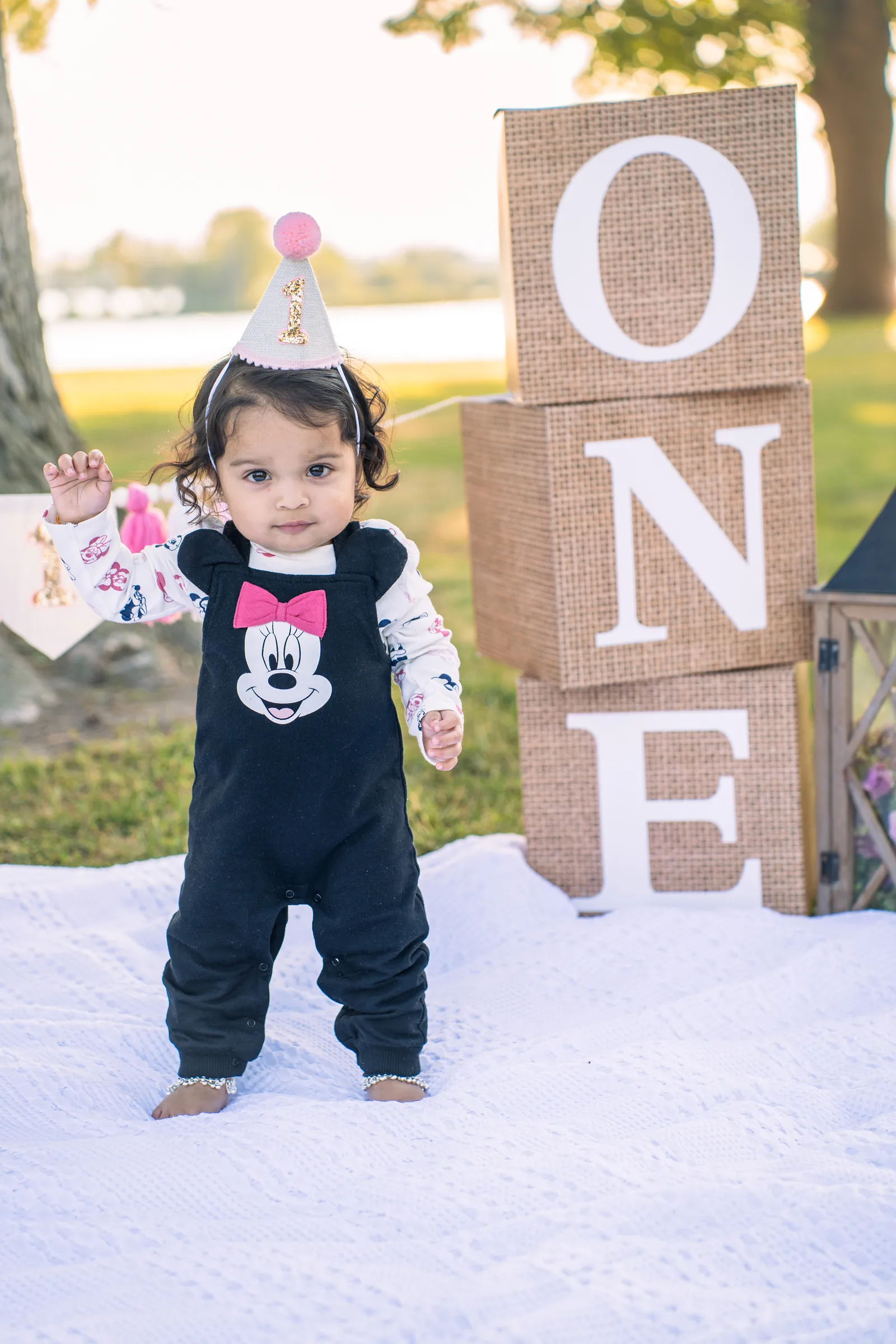 First birthday photography session in Windsor, Ontario featuring a milestone birthday celebration setup